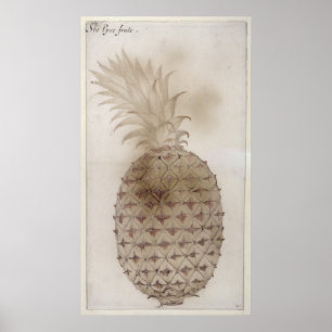 Pineapple, Poster