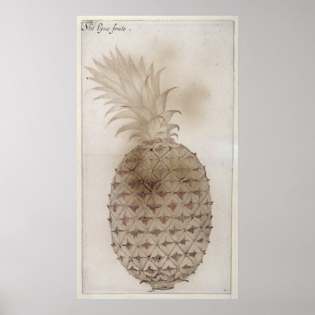 Pineapple, Poster (Front)