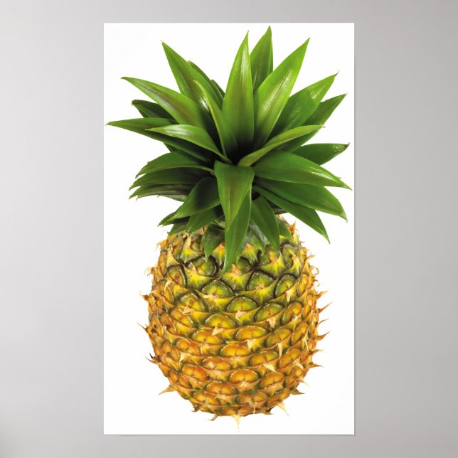 Pineapple Poster (Front)
