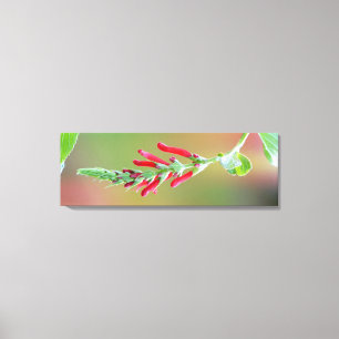 Pineapple Sage Bloom Canvas Print