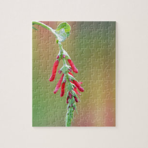 Pineapple Sage Bloom Jigsaw Puzzle
