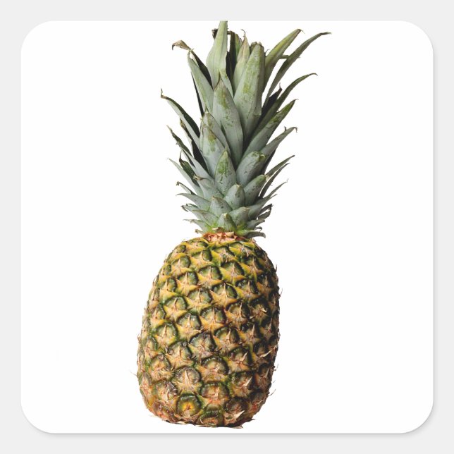 Pineapple Square Sticker (Front)