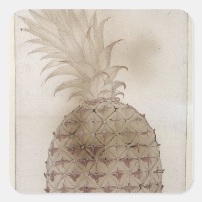 Pineapple, Square Sticker (Front)