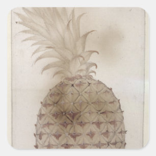 Pineapple, Square Sticker