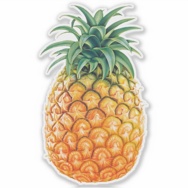 Pineapple Sticker (Front)