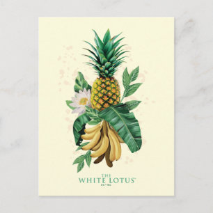 Pineapple Suite at The White Lotus Postcard