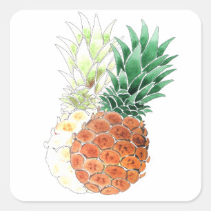Pineapple, watercolor . square sticker