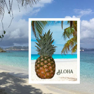 Pineapple, White Sand Beach, Palm Tree, Blue Sky Postcard