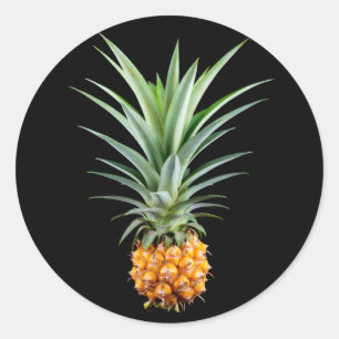 Pineapple with big hairdo on black background classic round sticker