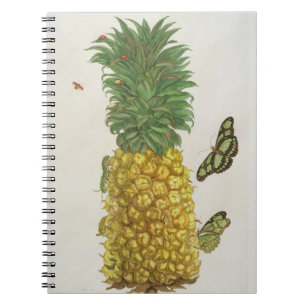 Pineapple with caterpillar and butterflies (hand-c notebook