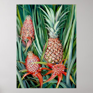 Pineapples by Marianne North - Exotic Landscape  Poster