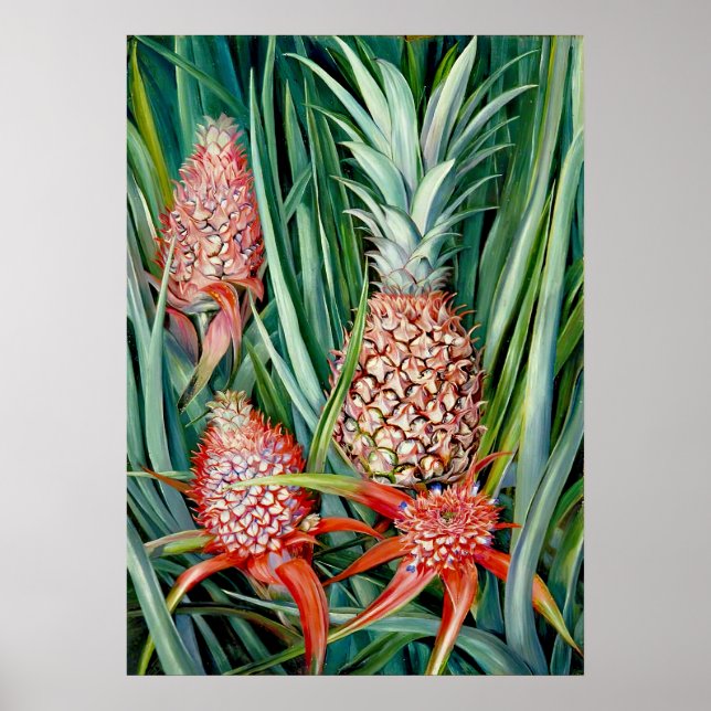 Pineapples by Marianne North - Exotic Landscape  Poster (Front)