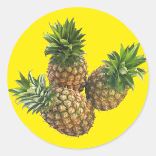 Pineapples Classic Round Sticker
