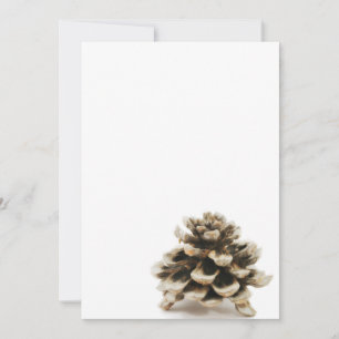 Pinecone