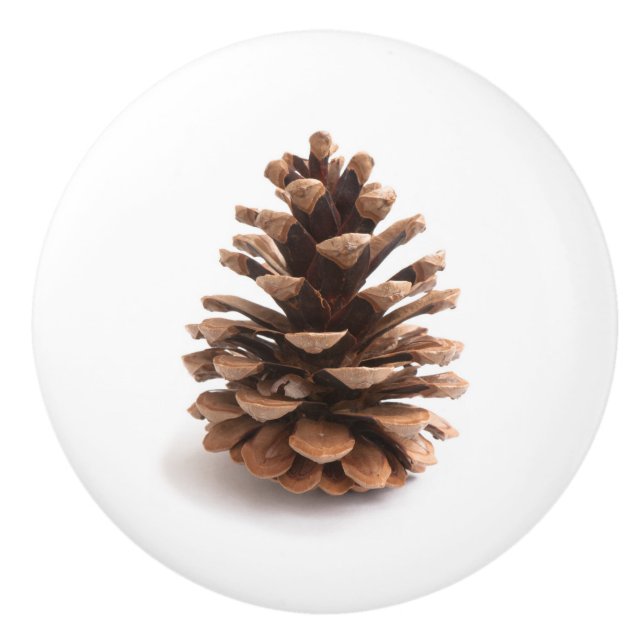 Pinecone Ceramic Knob (Front)