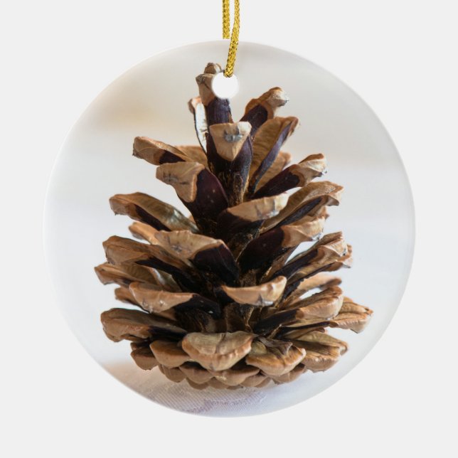Pinecone Ceramic Tree Decoration (Front)