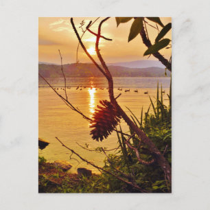 Pinecone Lake sunset Postcard