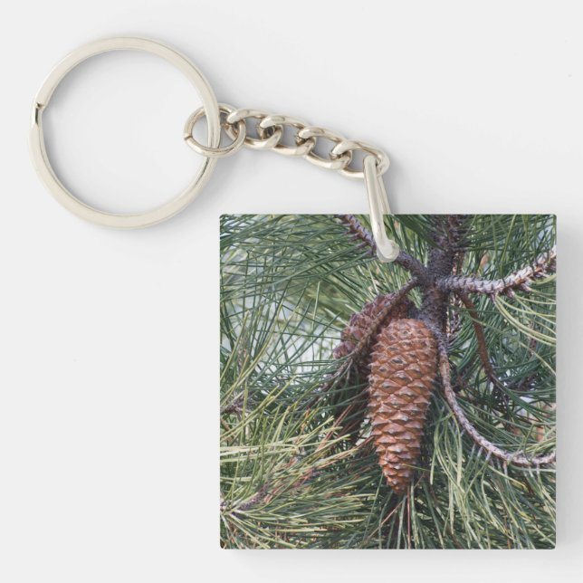Pinecone on the pine tree key ring (Front)