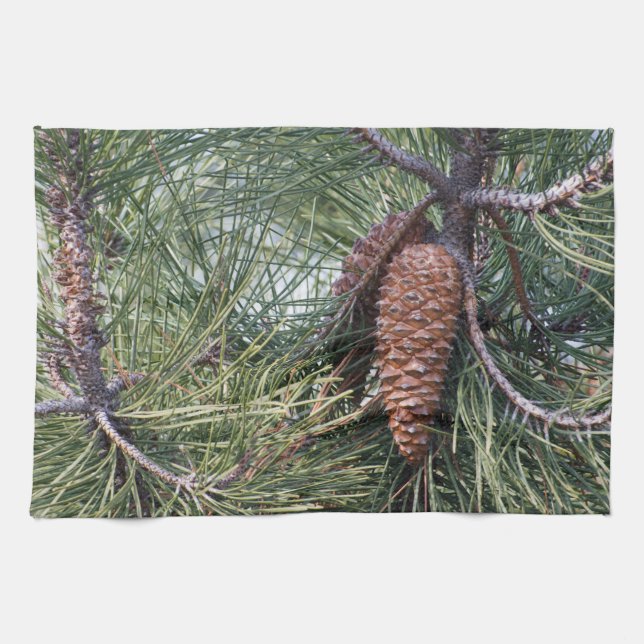 Pinecone on the pine tree tea towel (Horizontal)
