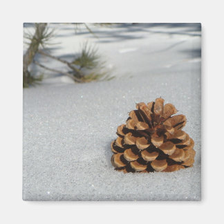 Pinecone on the Snow Magnet