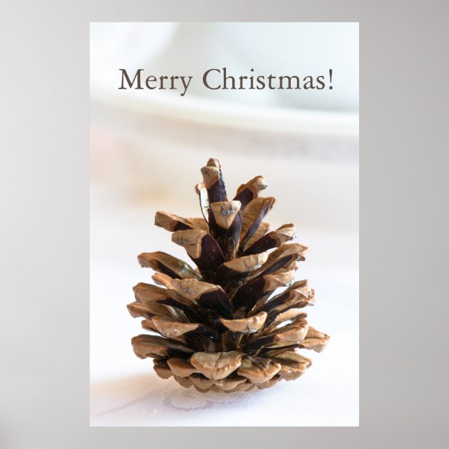 Pinecone Poster (Front)