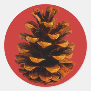 Pinecone rustic nature brown red classic round sticker