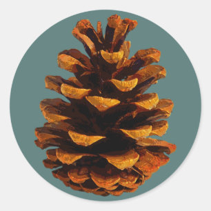 Pinecone rustic nature brown teal classic round sticker