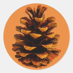 Pinecone rustic nature fall autumn classic round sticker