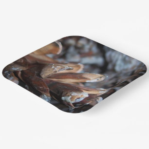 Pinecones Fall Autumn Nature Serving Paper Plate