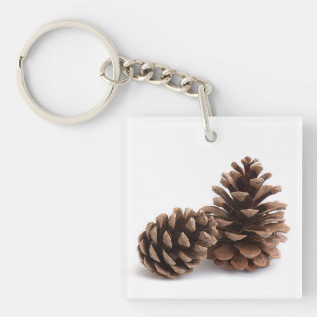 Pinecones Key Ring (Front)