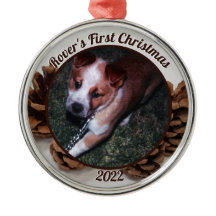 Pinecones Pet's First Christmas Photo with Year