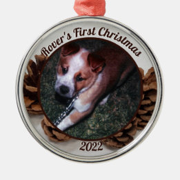 Pinecones Pet's First Christmas Photo with Year Metal Tree Decoration