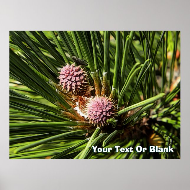 Pineflower Poster (Front)