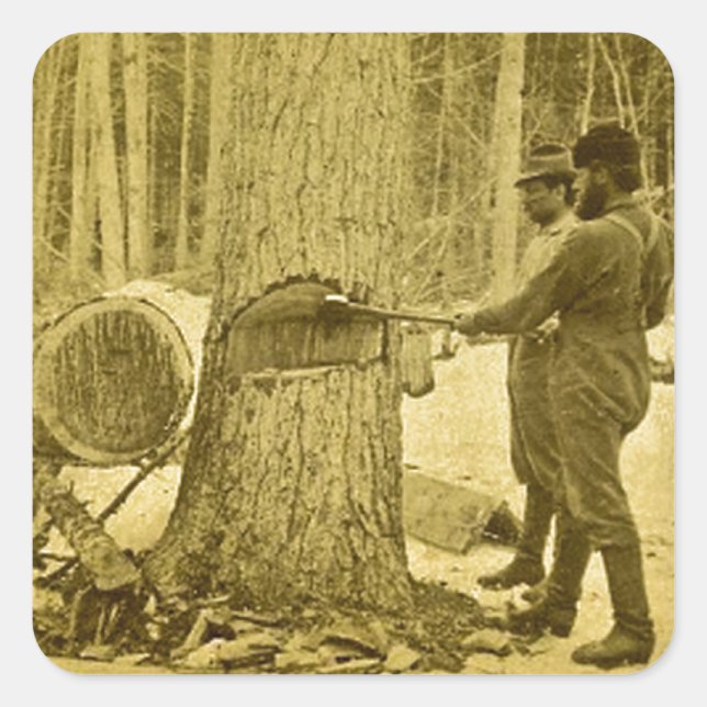 Pineries of Michigan Goodridge Brothers Saginaw MI Square Sticker (Front)