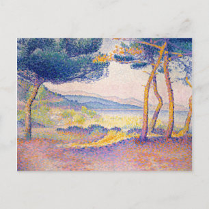 Pines Along the Shore Postcard