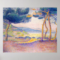 Pines Along the Shore