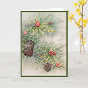 Pines and Flower Christmas Card