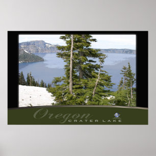 PINES AT CRATER LAKE POSTER
