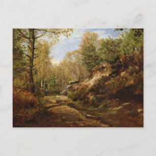 Pines & Birch Trees or The Forest of Postcard