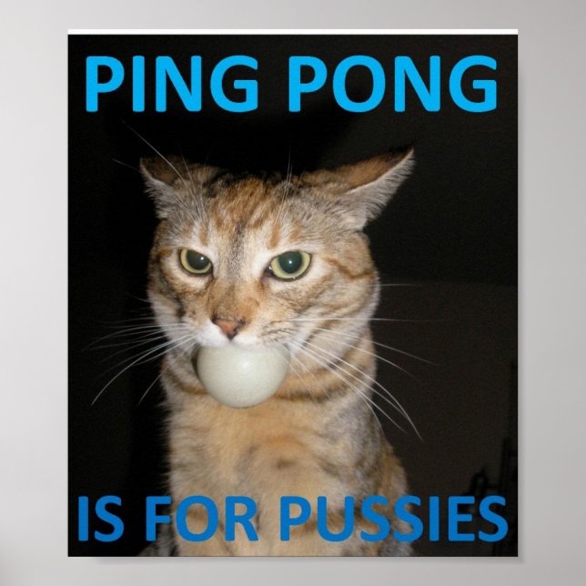 Ping Pong Is For Pussies Poster (Front)