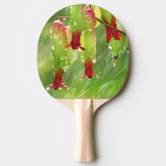Ping Pong Paddle swing with fashionable paddle