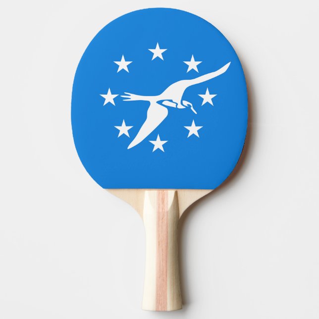 Ping pong paddle with Flag of Corpus Christi (Front)