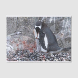 Pinguin with a chick tissue paper