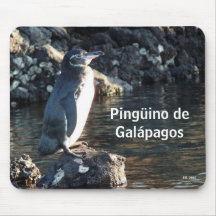 Pinguino de Galapagos