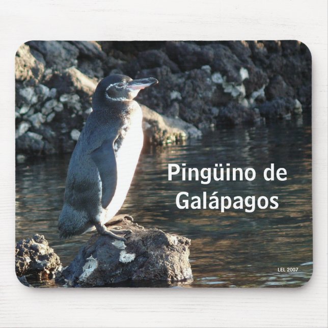 Pinguino de Galapagos Mouse Mat (Front)