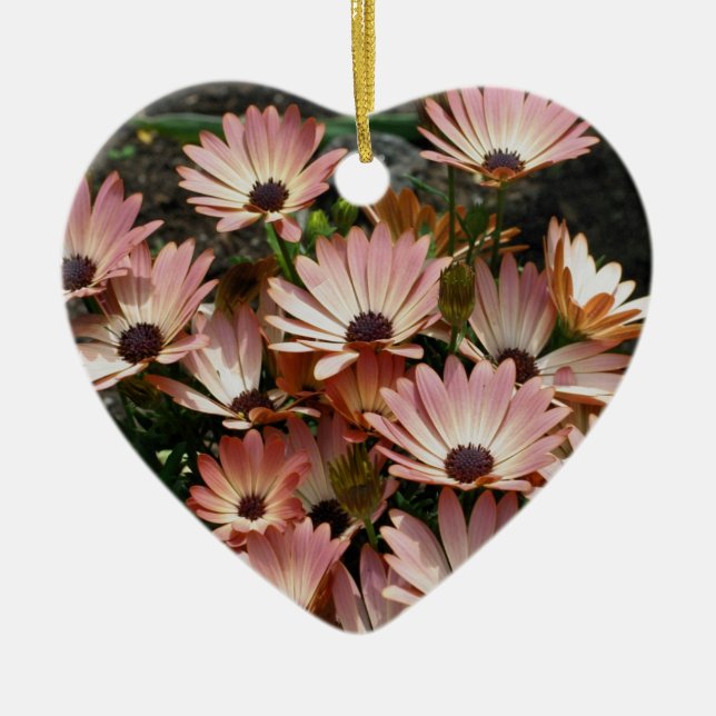 Pink African Daisies Flower Ornament (Front)