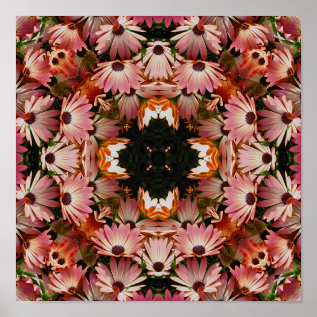Pink African Daisy Flowers Abstract Poster (Front)