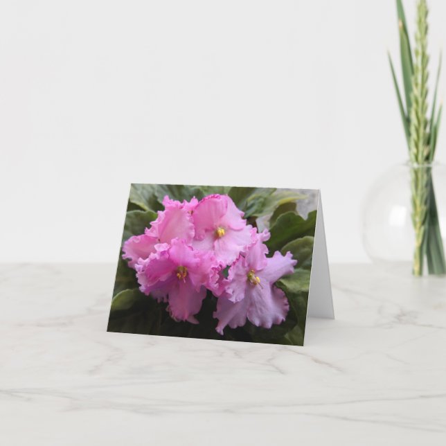 Pink African Violet Note Card  (Front)