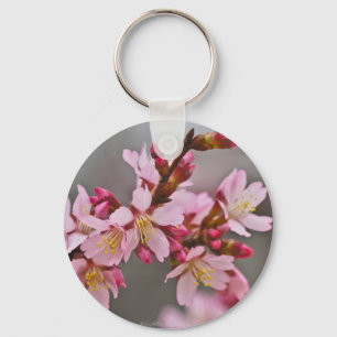 Pink Against A Gray Sky Japanese Cherry Blossoms Key Ring