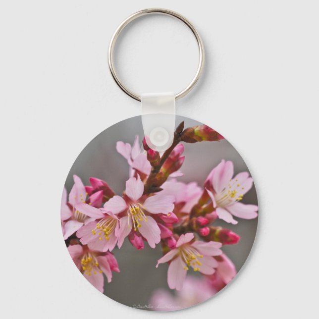 Pink Against A Gray Sky Japanese Cherry Blossoms Key Ring (Front)
